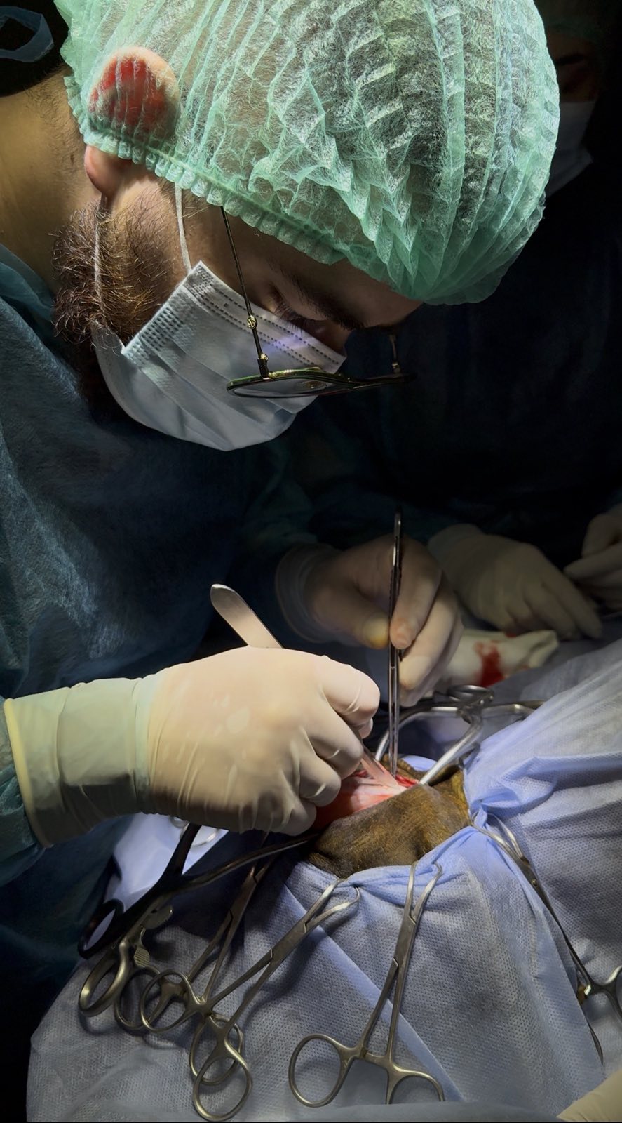 Нейрохірургія для тварин: порятунок та відновлення при складних патологіях Нейрохірургія для тварин: порятунок та відновлення при складних патологіях